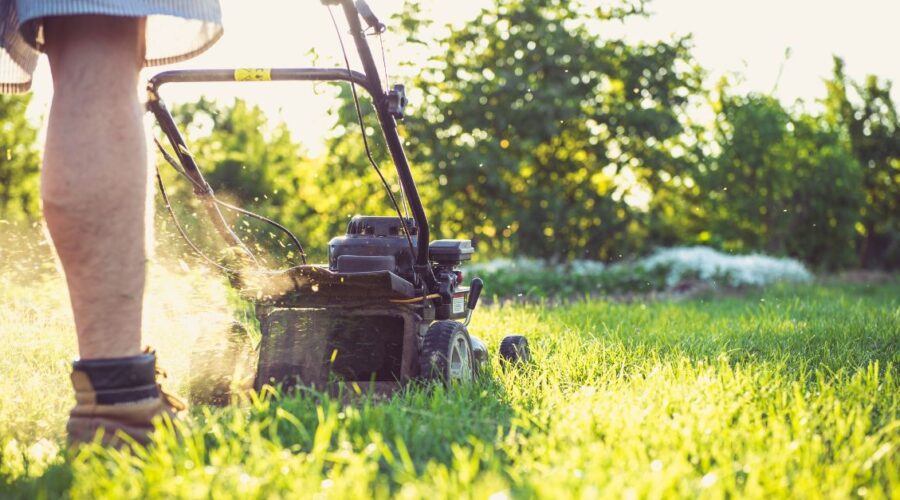 Gras onderhouden met grasmaaier