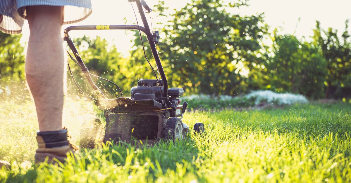 Gras onderhouden met grasmaaier